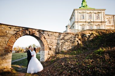 Büyüleyici ve şık Düğün çifti aşk arka plan eski v