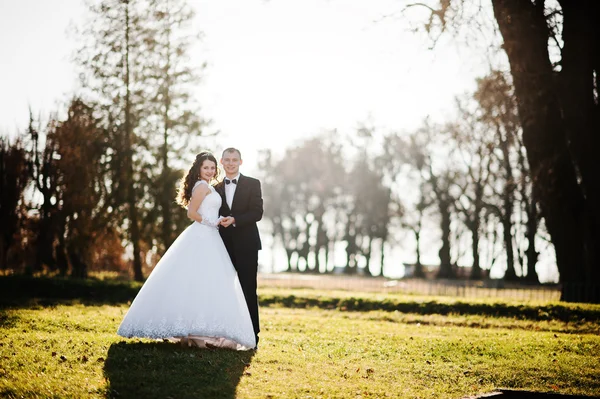 Düğün çift güneş ışığı üzerinde birlikte kalmak ve kameraya baktı