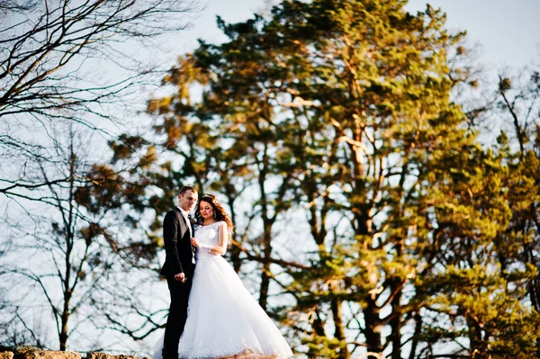 Свадебная пара в солнечный свет пребывания на стене деревянный лес — стоковое фото