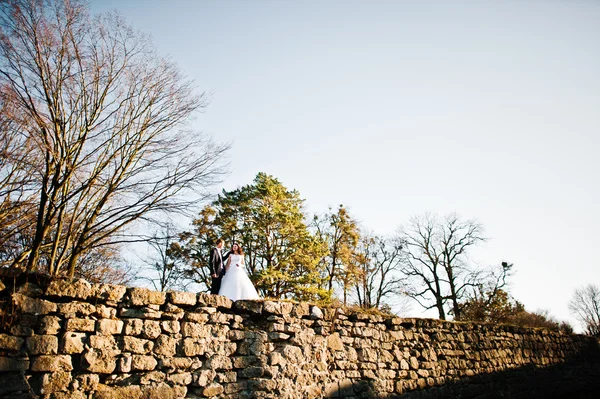 Casamento casal na luz do sol estadia na parede fundo floresta de madeira — Fotografia de Stock