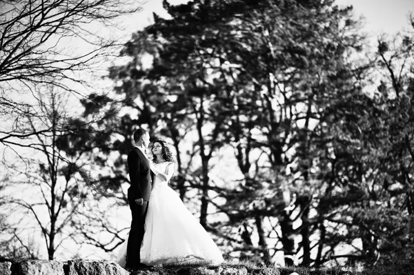 Casamento casal na luz do sol estadia na parede fundo floresta de madeira — Fotografia de Stock