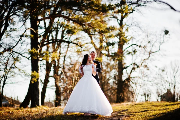 Grand et magnifique couple de mariage au coucher du soleil près du bois — Photo