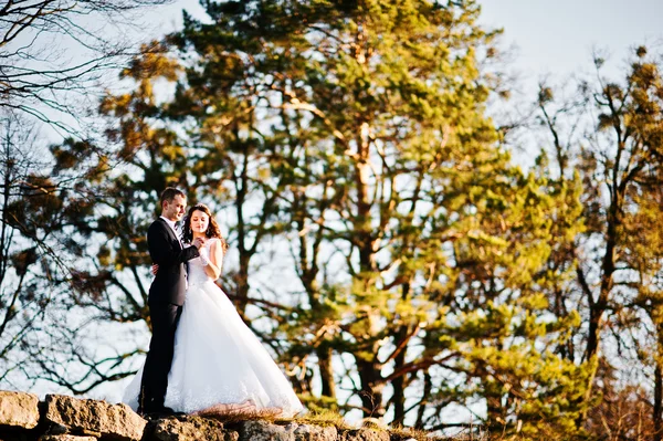 Matrimonio coppia al sole soggiorno a parete sfondo foresta di legno — Foto Stock