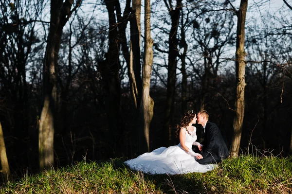 伟大和华丽的婚礼夫妇在附近木材日落 — 图库照片