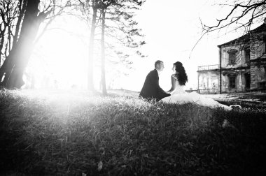 Harika ve muhteşem düğün çift ahşap yakınındaki gün batımında