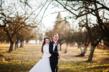 Harika ve muhteşem düğün çift ahşap yakınındaki gün batımında
