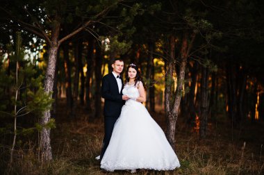 Güzel düğün kaç bir çam ormanı içinde