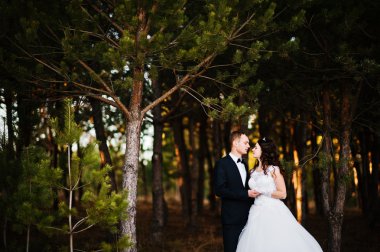 Güzel düğün kaç bir çam ormanı içinde