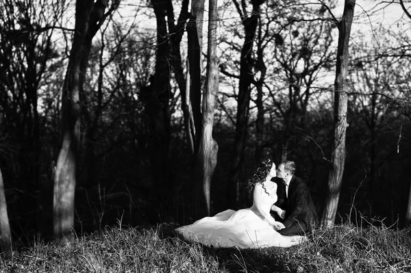 Μεγάλο και πανέμορφο γαμήλιο ζεύγος στο ηλιοβασίλεμα κοντά σε ξύλο — Φωτογραφία Αρχείου