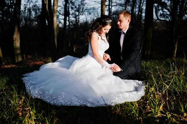 위 대 하 고 화려한 결혼식 부부는 나무 근처 일몰 — 스톡 사진