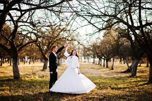 Gran y hermosa pareja de boda al atardecer cerca de la madera — Foto de Stock