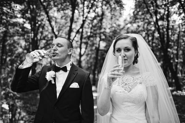 Fashionable wedding couple drinking champagne from glasses outdo — Stock Photo, Image