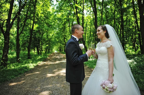 Bruidegom met bruid houden bruiloft glazen champagne en keek — Stockfoto