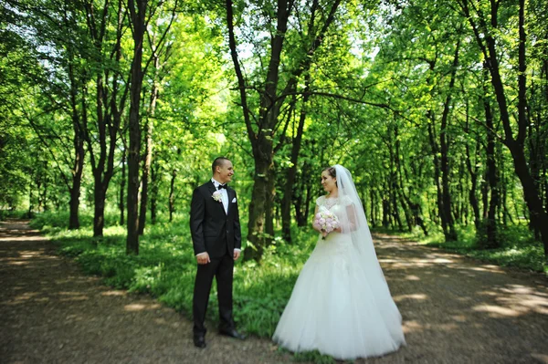 Groom standing in front of bride at V- like crossroads in forest — Stock Photo, Image
