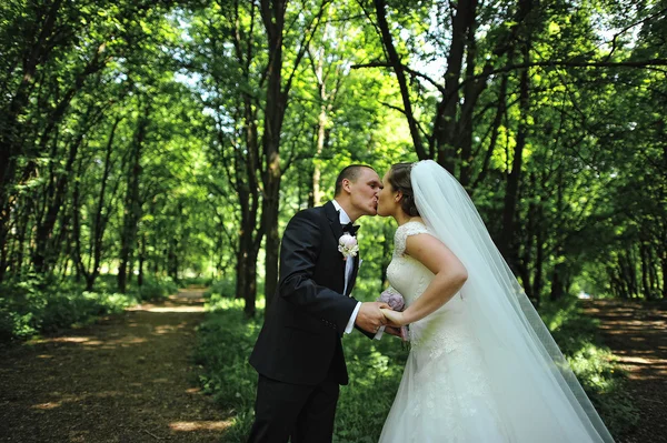Noivo beijando noiva em v como encruzilhada na floresta — Fotografia de Stock