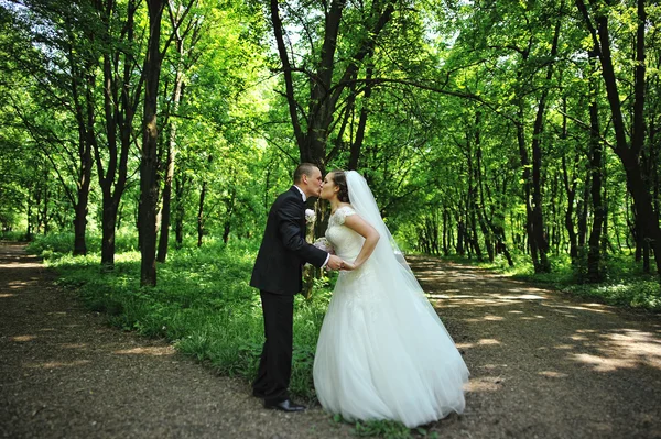 Sposo baciare sposa a V-come crocevia nella foresta — Foto Stock