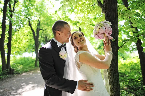 Casal de casamento na moda ficar perto de árvore na floresta com sol lig — Fotografia de Stock