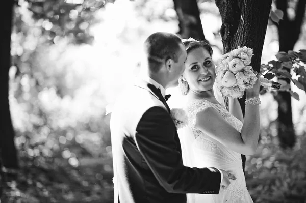 Casal de casamento na moda ficar perto de árvore na floresta com sol lig — Fotografia de Stock