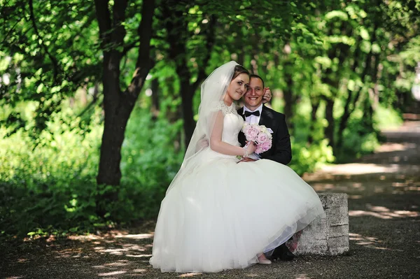 Fashionable wedding couple sitting on stone at park. — Stock Photo, Image