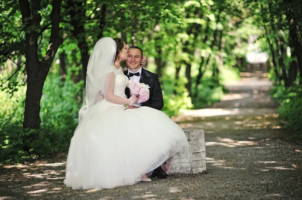Casal de casamento na moda sentado em pedra no parque. Beijos de noiva — Fotografia de Stock