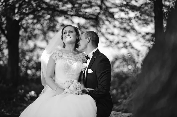 Portrait de couple de mariage à la mode à fond de bois. B & W p — Photo