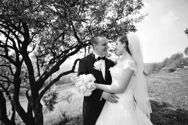 优雅的新婚夫妇呆在附近树背景景观与 — 图库照片