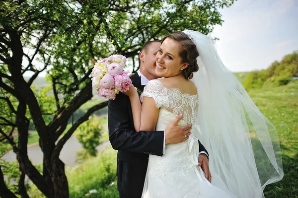 Bruidegom kussen hals van bruid achtergrond landschap met rivier — Stockfoto