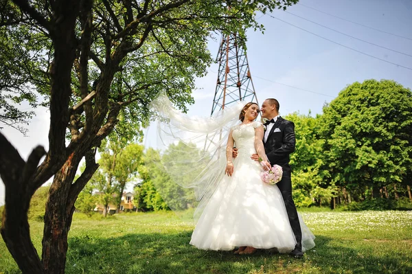 Fashionable happy wedding couple background electrical tower loo — Stock Photo, Image