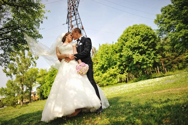 Modieuze verheugd huwelijksfeest paar achtergrond elektrische toren, mo — Stockfoto
