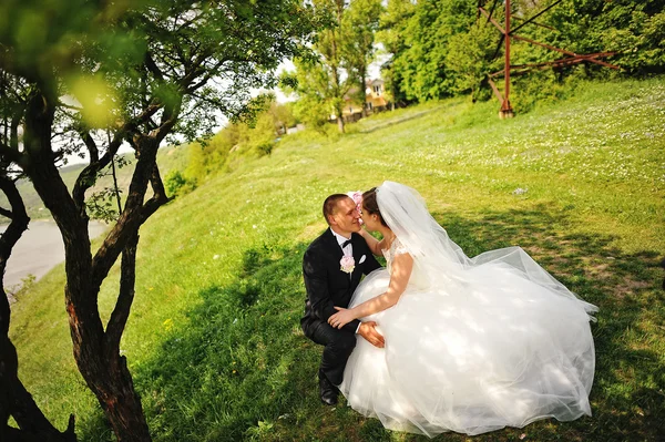 Beautiful wedding couple sitting in the shade under a tree — Stock Photo, Image