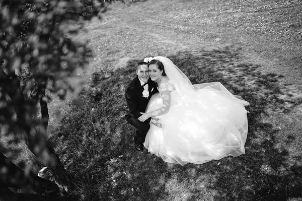 Güzel ve evlilik çift altında gölgede oturup gülümseyen 