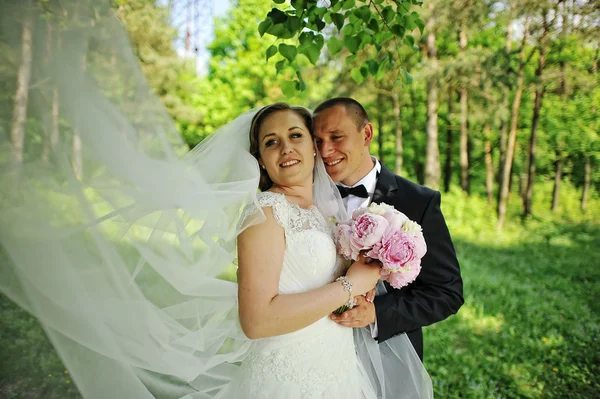 Beautiful hugging wedding couple, bride with long veil at peony — Stock Photo, Image