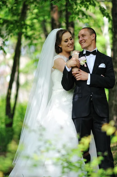 Los recién casados con estilo permanecen en el parque y abrazando.Foto vertical — Foto de Stock