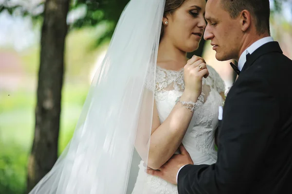 Close up portrait of hugging wedding couple — Stock Photo, Image