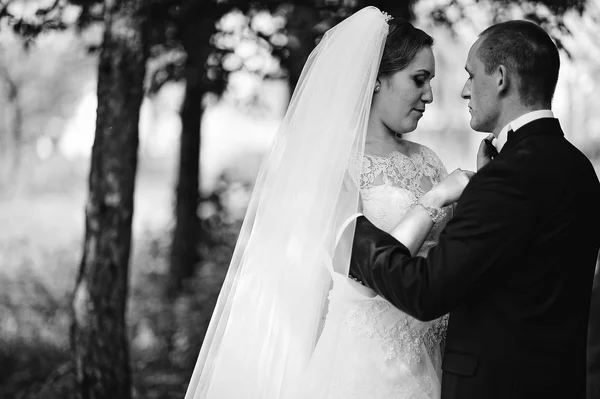 Close up ritratto in bianco e nero di abbracciare coppia di nozze — Foto Stock
