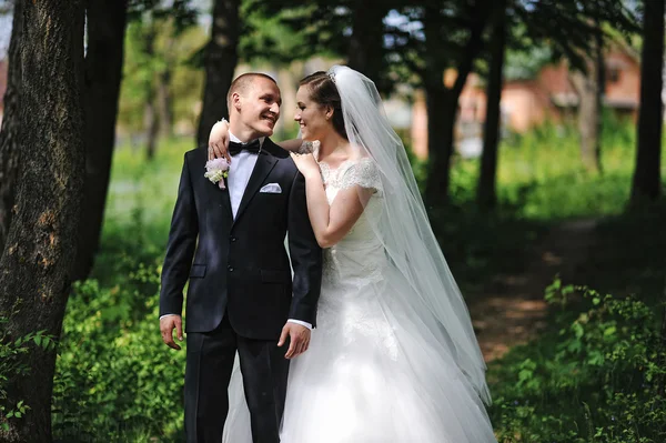 Park ve sarılma üzerinde şık yeni evli kalmak.