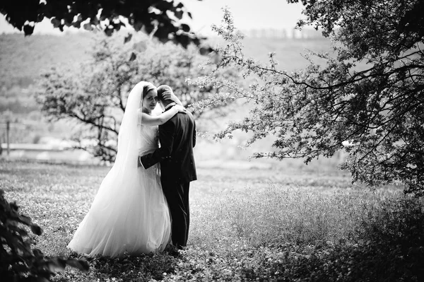 新娘拥抱的新郎头。令人惊异的新婚夫妇，在公园，B&W ph 值 — 图库照片