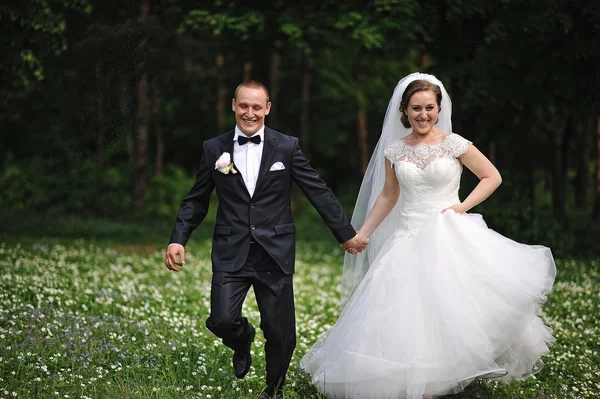 Gelukkig jonggehuwden draait op gebied van witte bloemen — Stockfoto