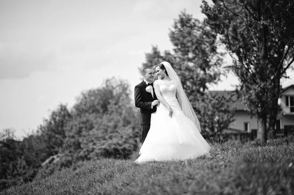 Gyönyörű esküvői pár a hegyen, b&w fénykép — Stock Fotó
