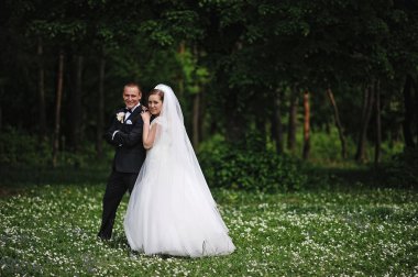 Elegance düğün birkaç çiçek ahşap arka plan alanı