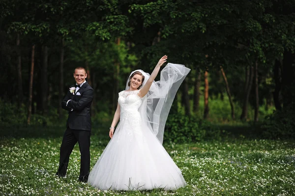 Elegantie bruidspaar op gebied van bloemen achtergrond hout, bri — Stockfoto