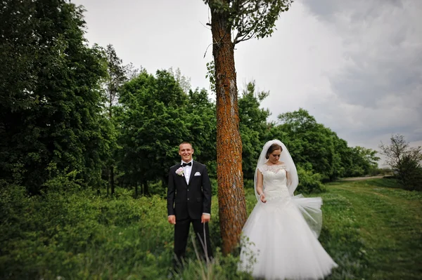 Young fashion wedding couple standing on opposite sides near the — Stock Photo, Image