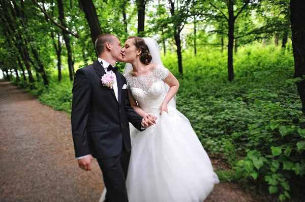 Beijando recém-casados caminhando na trilha na floresta — Fotografia de Stock