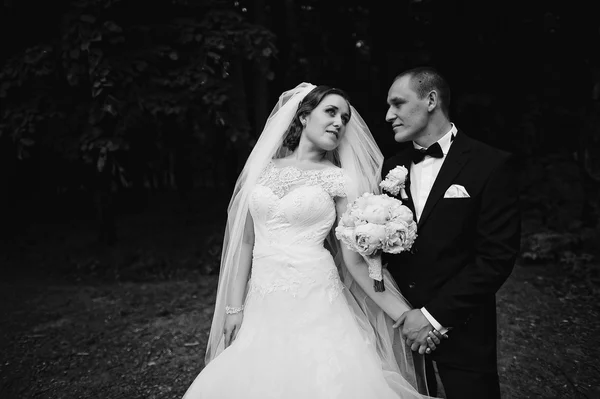 暗い森の若者のファッションの結婚式のカップルの B&W の写真 — ストック写真