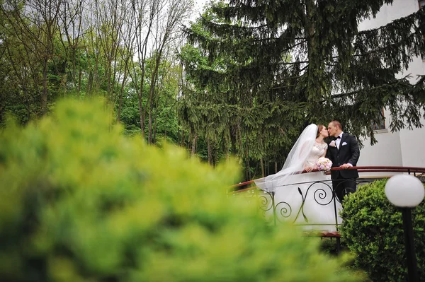 Küssendes junges Modehochzeitspaar bleibt in der Nähe kleiner Brücke — Stockfoto