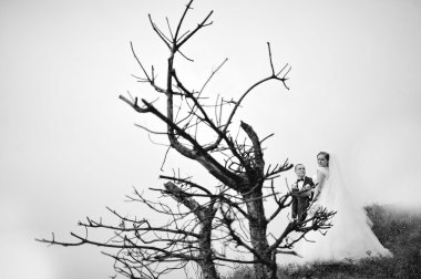 Evlilik çift kuru ağaç, b&w fotoğraf arka plan