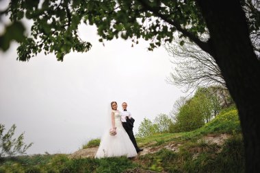 Yeni evliler arka plan ağaç dallarında