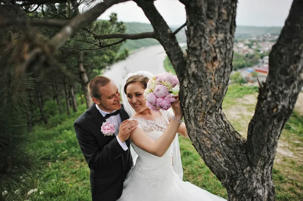 Extravagant wedding couple hugging near pine tree — Stock Photo, Image