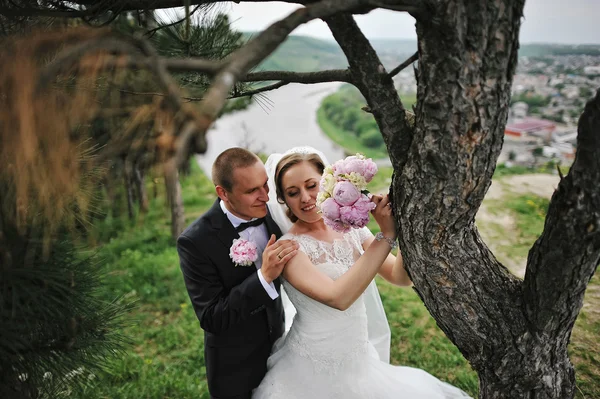 Casal de casamento extravagante abraçando perto de pinheiros — Fotografia de Stock