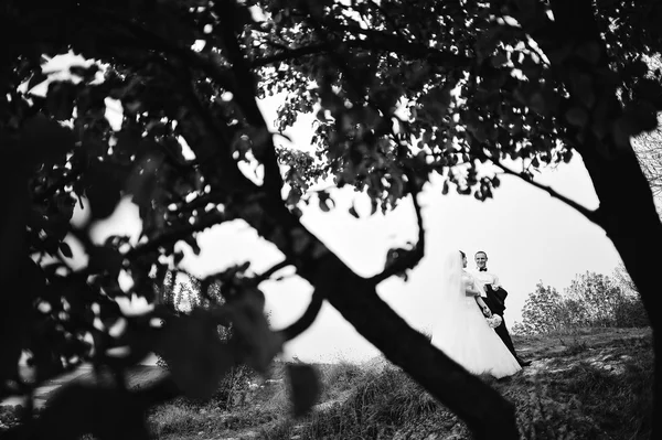 Jonggehuwden achtergrond takken van bomen, b&w foto — Stockfoto